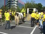 AGRICOLTURA IN GINOCCHIO CON AZIENDE IN FALLIMENTO
