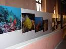 FOTOCONCORSO NAZIONALE “5 SCATTI D’AMBIENTE”