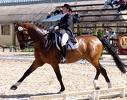 AL CIRCOLO GLI ULIVI LA PROVA DI DRESSAGE