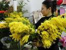 LE INIZIATIVE PER LA FESTA DELLA DONNA