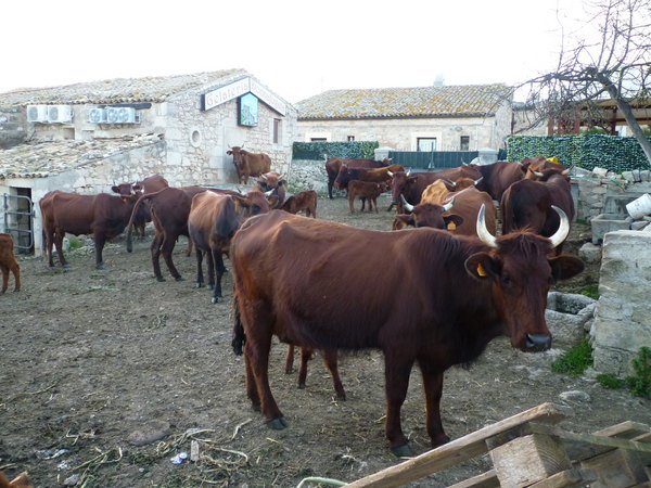 PRIORITA’ AD AGRICOLTURA INFRASTRUTTURE AMBIENTE E TURISMO