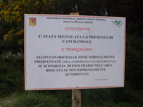 CANI RANDAGI ALL’INTERNO DELL’AREA ATTREZZATA  A RANDELLO