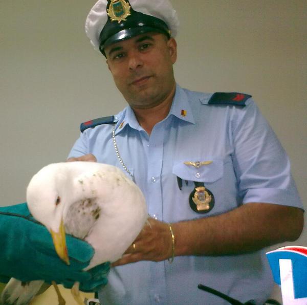IL DELEGATO COMUNALE FILIPPO ANGELICA SI COMPLIMENTA CON I VIGILI URBANI DI RAGUSA