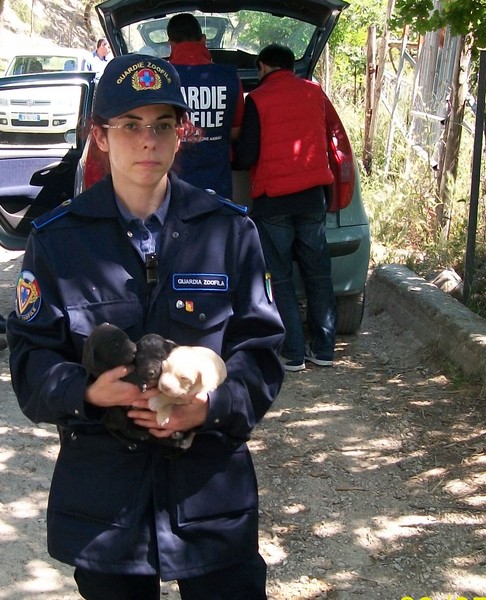 SEQUESTRATI 20 CANI IN UNA STRUTTURA “FAI DA TE”