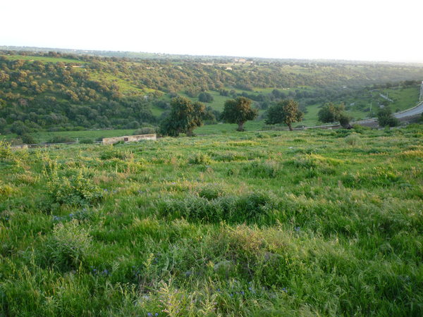 PER IL PARCO DEGLI IBLEI IL SINDACO DI POZZALLO ATTACCA IACONO E BARONE