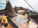 L’UNIONE EUROPEA PENALIZZA I PESCATORI DEL MEDITERRANEO