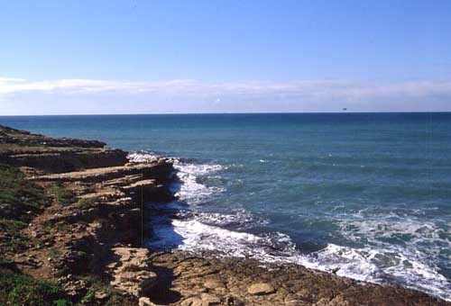 LO HA COMUNICATO L’ARPA ALLA CAPITANERIA DI PORTO DI POZZALLO
