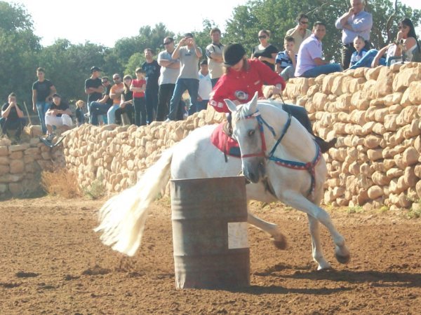 SUCCESSI RAGUSANI ALLA SECONDA TAPPA DEL BARREL RACING REGIONALE