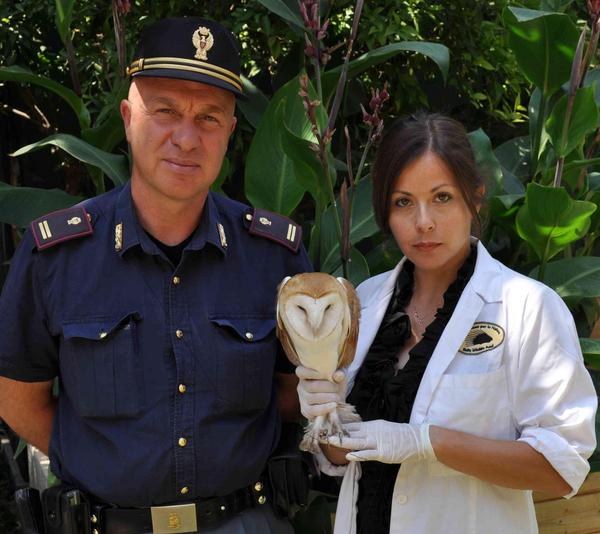 SALVATO DA SICURA MORTE UN PICCOLO BARBAGIANNI