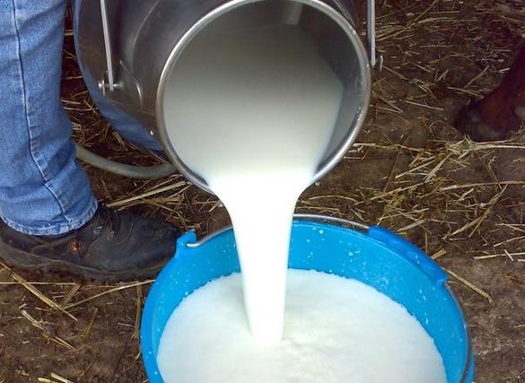 Regione: prezzo del latte martedì vertice con Musumeci