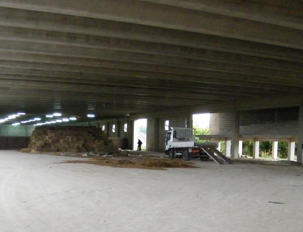 CONSEGNA LAVORI MANEGGIO DI CONTRADA SELVAGGIO