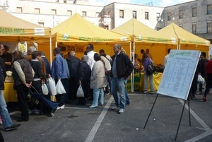 L’ASSESSORE PLUCHINO RISPONDE AGLI ATTACCHI: “POLEMICHE STERILI”!