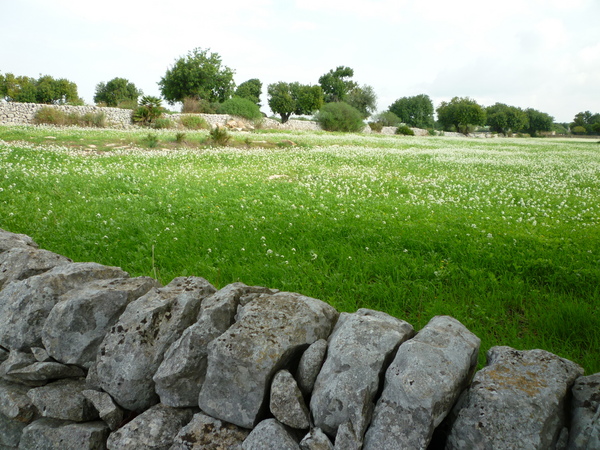 IL COMUNE DI RAGUSA CONDIVIDE LA PROPOSTA DEL PARCO