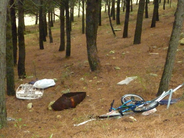 MENTRE SI DISCUTE DEL PARCO DEGLI IBLEI SI BUTTA DI TUTTO