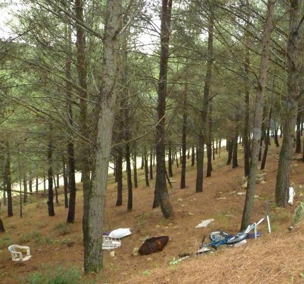 ELIMINAZIONE DEI RIFIUTI E PROTOCOLLO CON I COMUNI