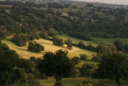 CONDIVISA LA PROPOSTA DELLA PROVINCIA DI RAGUSA MA…