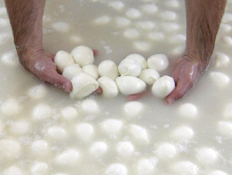POLIZIA PROVINCIALE E NAS SEQUESTRANO IMPIANTO DI DEPURAZIONE E MOZZARELLE IN CASEIFICI IBLEI
