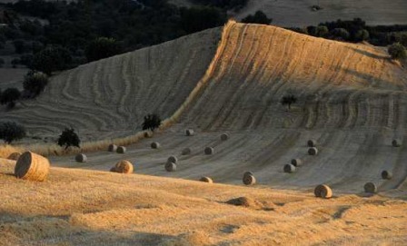 VINCOLI ESAGERATI IN ALCUNE PARTI DEL TERRITORIO IBLEO