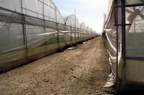 Operazione “Plastic Free” a Vittoria annullato lo stop alla scarcerazione di Giovanni Donzelli