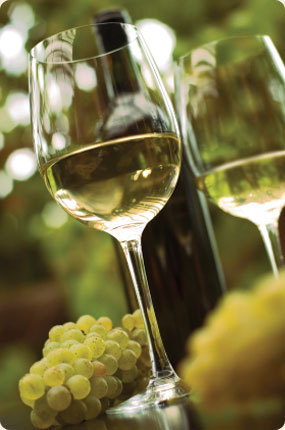 CHARDONNAY, LA LONGEVITÀ DEL BIANCO