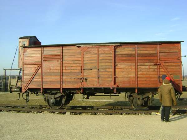 TRENO DELLA MEMORIA 2011: AUSCHWITZ E BIRKENAU