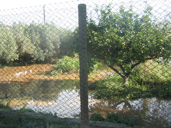 UN FIUME SULLA MARINA – SANTA CROCE: DISAGI ED INCIDENTI