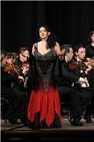 LA LIRICA  CANTA L’AMORE