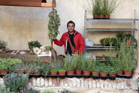 “GLI AROMI”: UN GIARDINO-AZIENDA