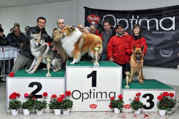 PREMIAZIONE ESPOSIZIONE CANINA NAZIONALE ED INTERNAZIONALE DI RAGUSA