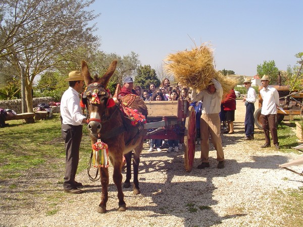PER LE ANTICHE TRADIZIONI AGRICOLE IBLEE LA SCUOLE ALBO DI MODICA