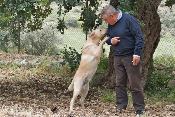 A VITTORIA UN NUOVO CANILE E SPAZI SPECIFICI PER GLI AMICI A QUATTRO ZAMPE