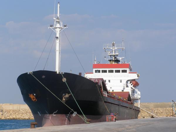 LA GUARDIA COSTIERA LI SCOPRE NEL PORTO DI POZZALLO