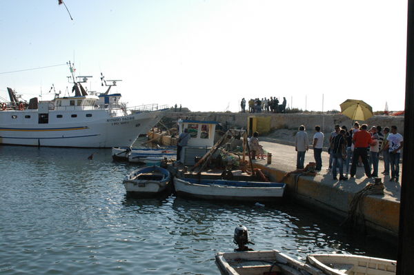 UN PROGETTO AMBIZIOSO: IL NUOVO PORTO DI SCOGLITTI