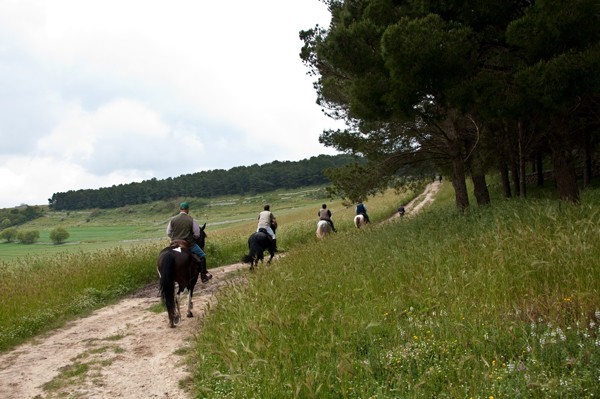 GRANDE SUCCESSO PER IL NONO RADUNO EQUESTRE