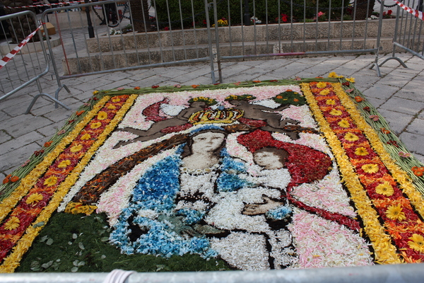 “INFIORATA IN ONORE DI MARIA SS. DI GULFI”