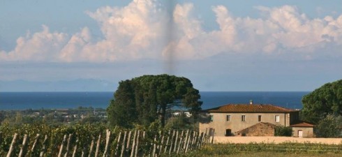 UNA GITA A CASTELLO DEL TERRICCIO