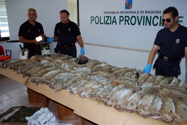 AVEVANO ABBATTUTO 91 CONIGLI E RUBATO PESCHE