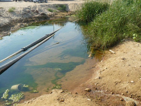 FAREAMBIENTE DENUNCIA LO STATO D’ABBANDONO DEL LAGHETTO DI CANNITELLO
