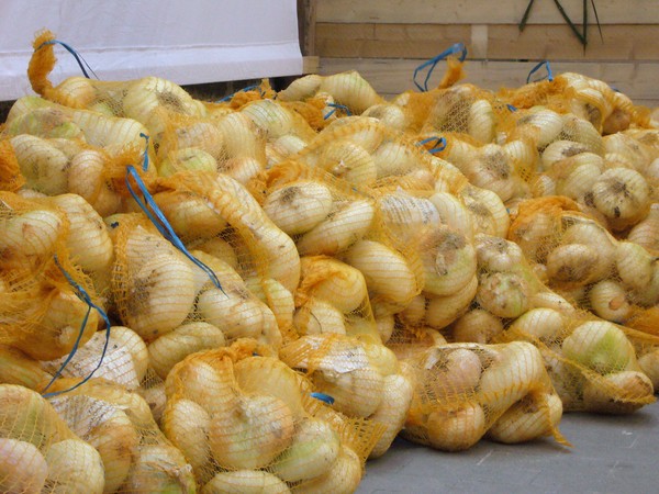 IL 14 AGOSTO A GIARRATANA “LA SAGRA DELLA CIPOLLA”