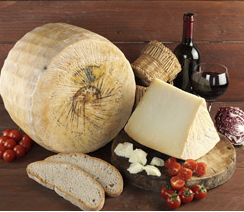 IL PECORINO CHE PARLA SICILIANO