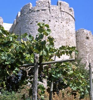 COSì BEVVE BELLAVISTA
