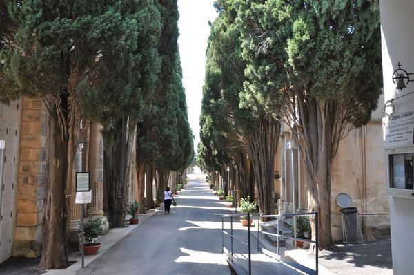 AL CIMITERO OSSA IN SACCHI DELLA SPAZZATURA