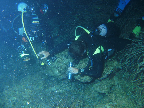 IL FASCINO DELL’IGNOTO DURANTE UN’IMMERSIONE NOTTURNA