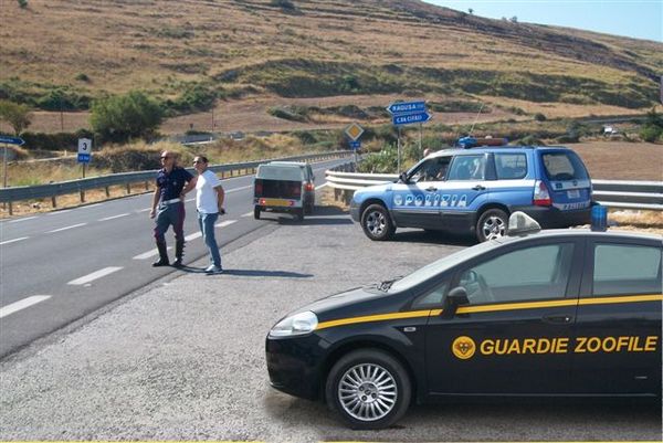 CACCIATORI POCO UMANI VERBALIZZATI SULLA RAGUSA CATANIA