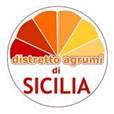 UN UNICO MARCHIO COME NUOVA STRATEGIA
