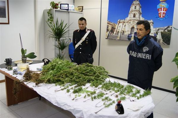 UN MODICANO COLTIVAVA MARIJUANA IN SERRA