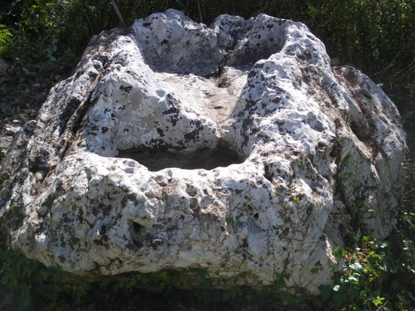 IL MISTERO DEI “TORCULARIA” NELL’AREA IBLEA, STRUTTURE PRODUTTIVE  PER VINO E OLIO