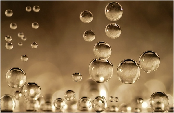 I PROTAGONISTI DELLO CHAMPAGNE