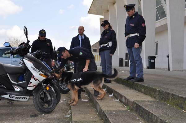 SERVIZI ANTIDROGA NELLE SCUOLE: 2 SEGNALAZIONI