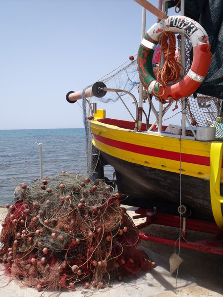 “LE FOTO PIU’ BELLE DEI NOSTRI LETTORI”